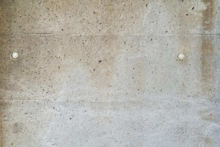 症状：色あせしてきた、カビが目立つ